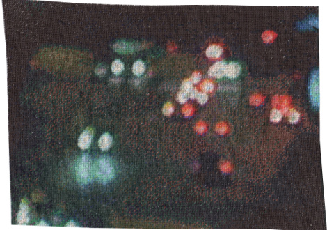 scann756haluchere-470